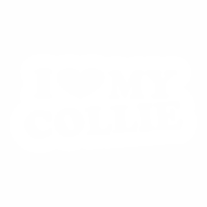 Samolepka - I love Coliie